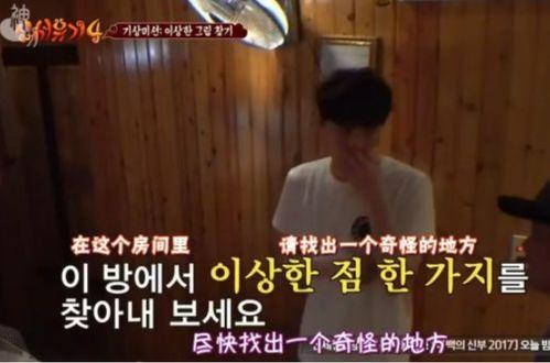 日韩为何听美国话视频呢,深度解析背后的战略考量